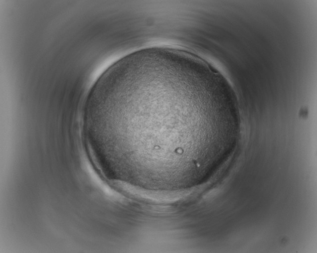 X0000113641007200910021912