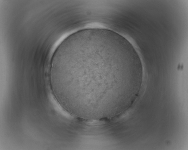 X0000113641008200910021912