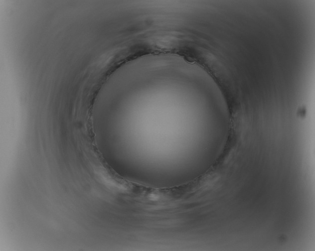 X0000113641009200910021911