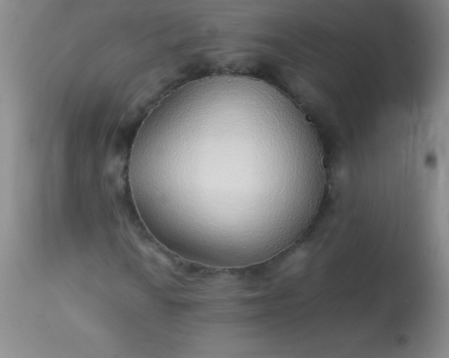 X0000113641010200910021911