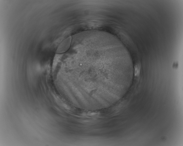 X0000113641011200910021911