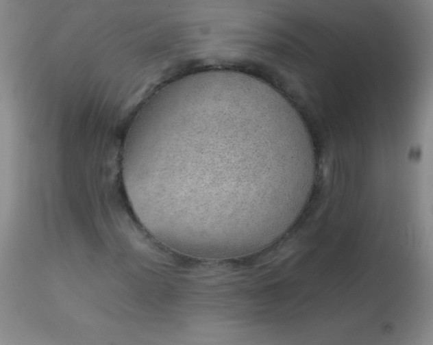 X0000113641012200910021911