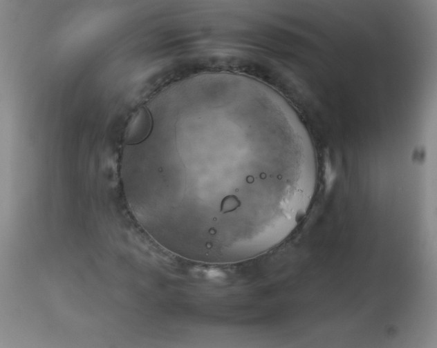 X0000113641013200910021911