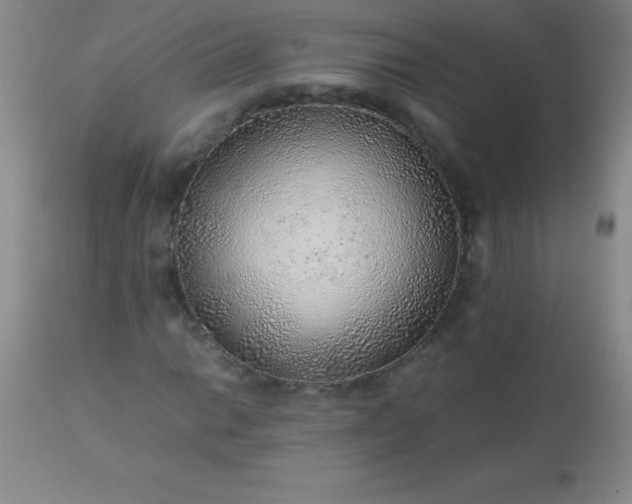 X0000113641014200910021911