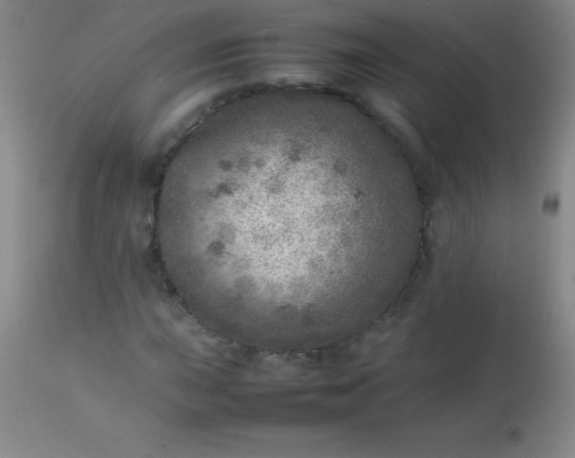 X0000113641015200910021911