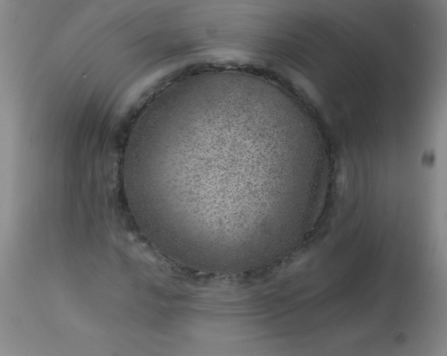 X0000113641016200910021911