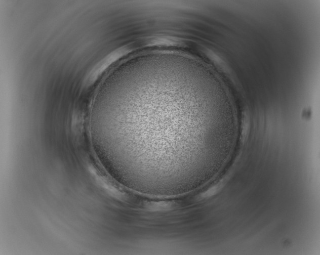 X0000113641017200910021911