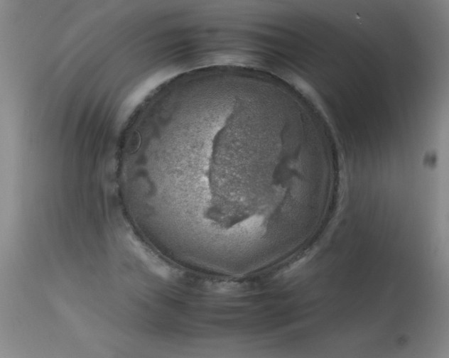 X0000113641019200910021911