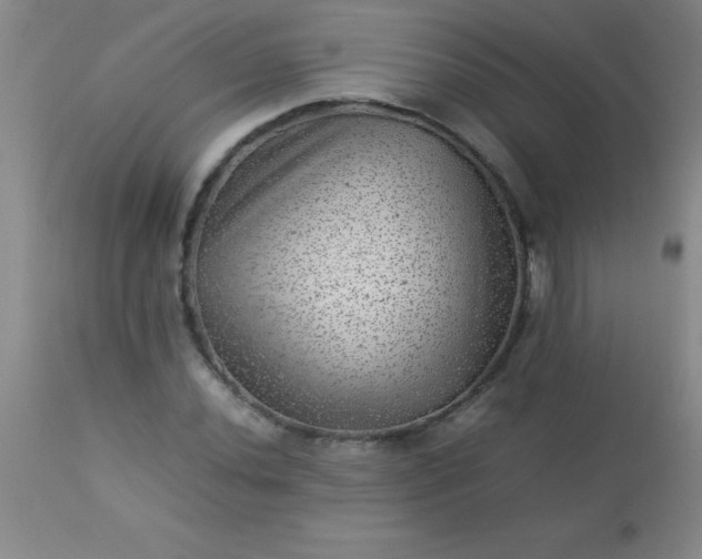 X0000113641020200910021911