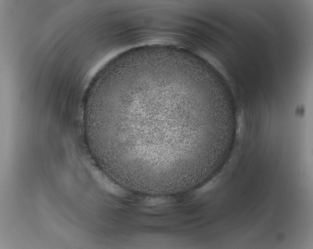 X0000113641021200910021911