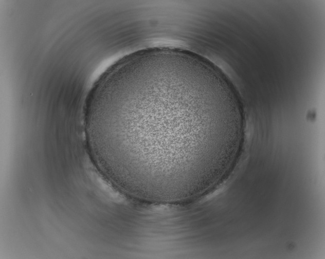 X0000113641022200910021911