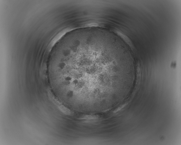 X0000113641023200910021911