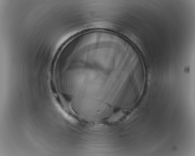 X0000113641024200910021911