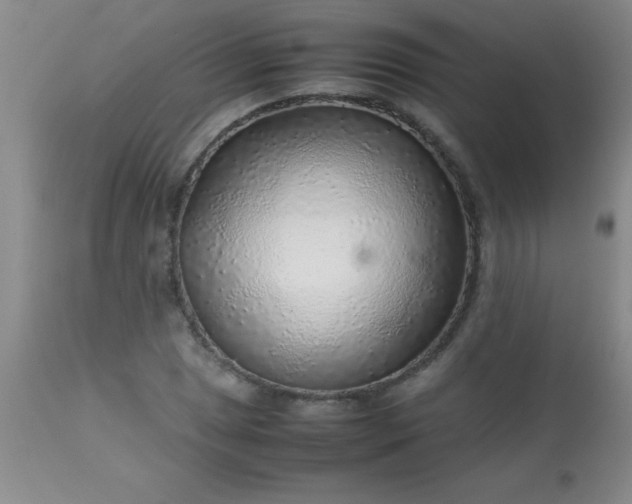 X0000113641025200910021911