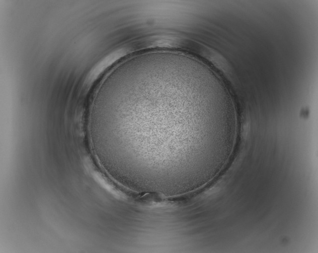 X0000113641026200910021911