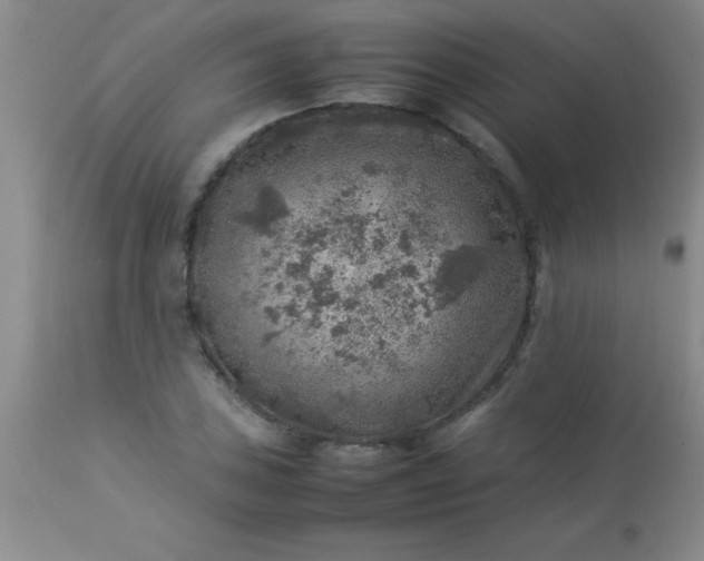 X0000113641027200910021911