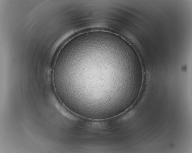 X0000113641029200910021911