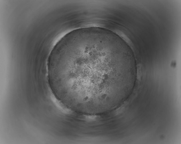 X0000113641031200910021911