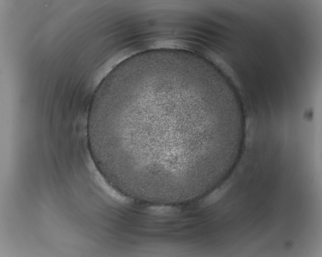 X0000113641033200910021911