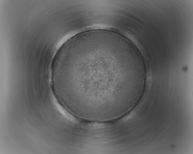 X0000113641034200910021911