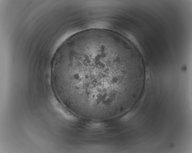 X0000113641035200910021911