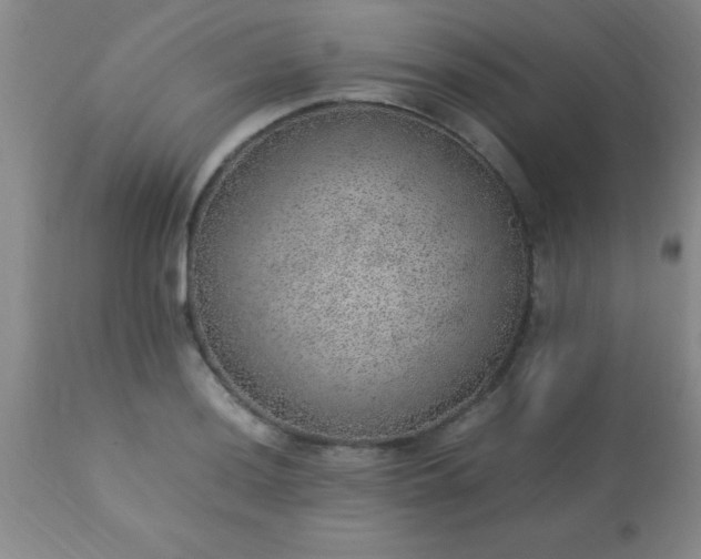 X0000113641036200910021911