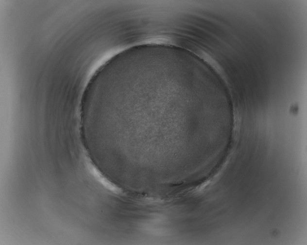 X0000113641037200910021912