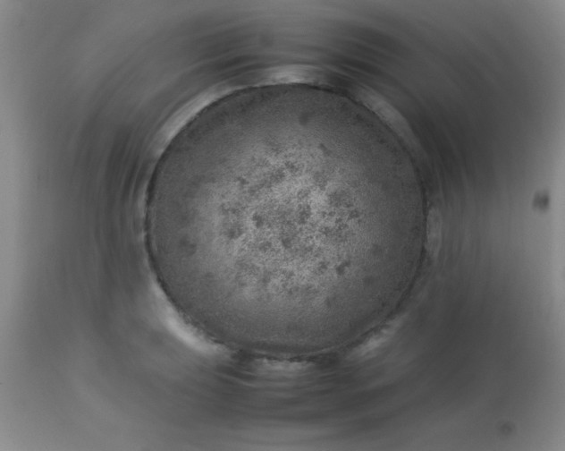 X0000113641039200910021912