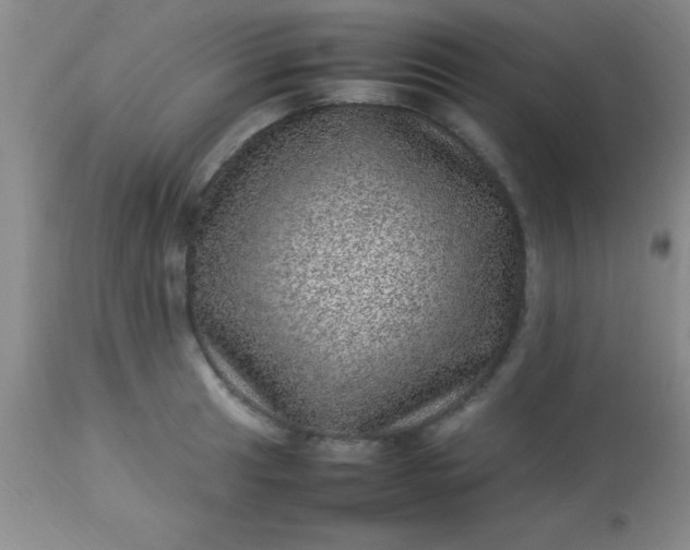 X0000113641041200910021912