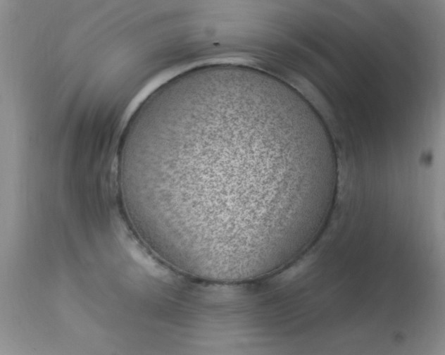 X0000113641044200910021912