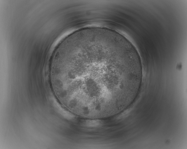 X0000113641045200910021912