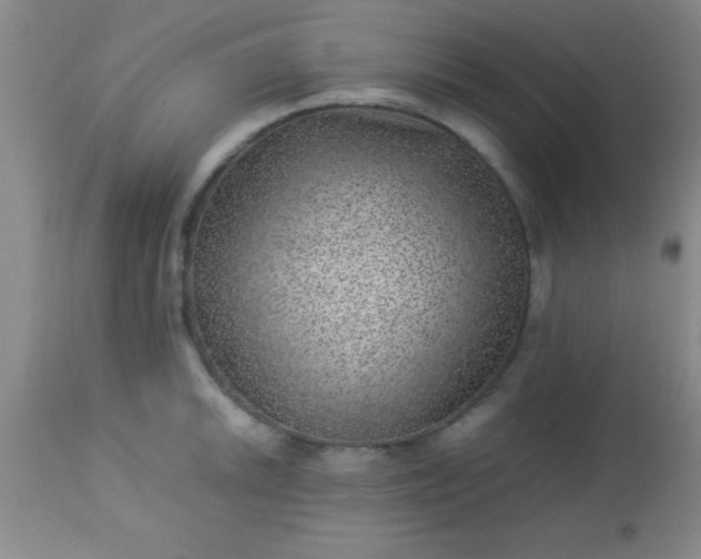 X0000113641046200910021912