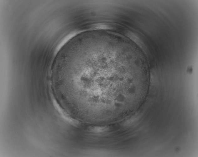 X0000113641047200910021912