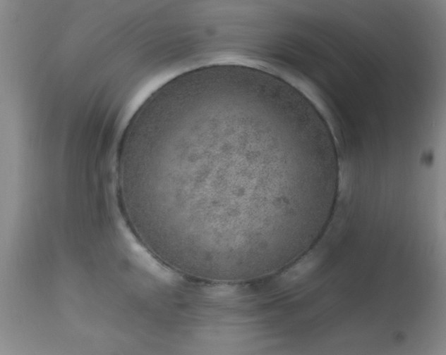 X0000113641048200910021912