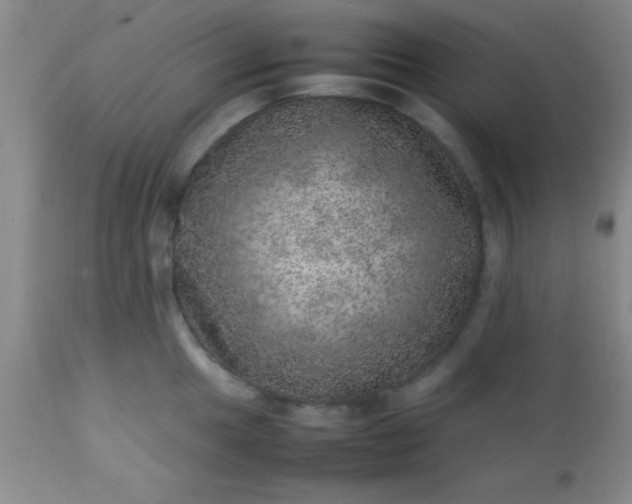 X0000113641049200910021912