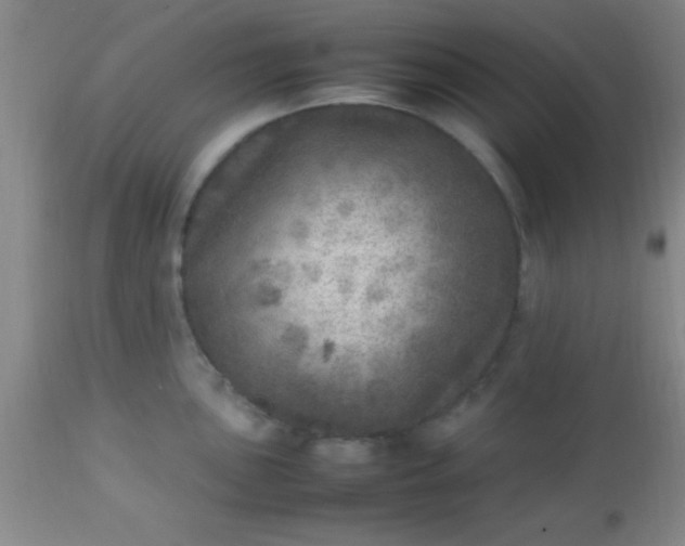 X0000113641051200910021912