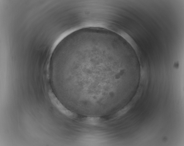 X0000113641052200910021912