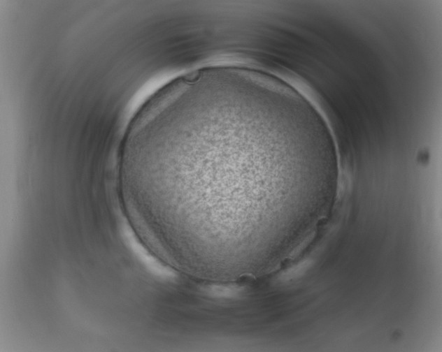 X0000113641053200910021912