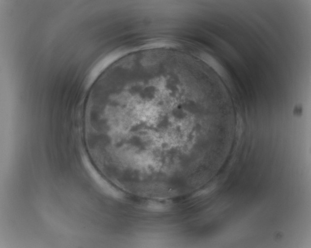 X0000113641055200910021912