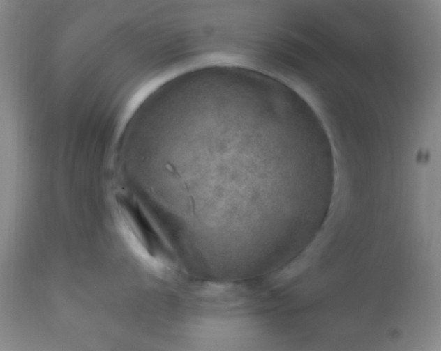 X0000113641056200910021912