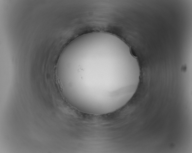 X0000113641057200910021911