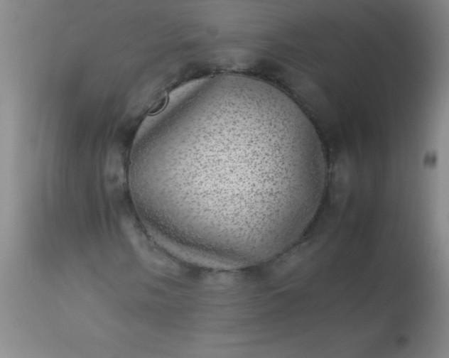 X0000113641058200910021911