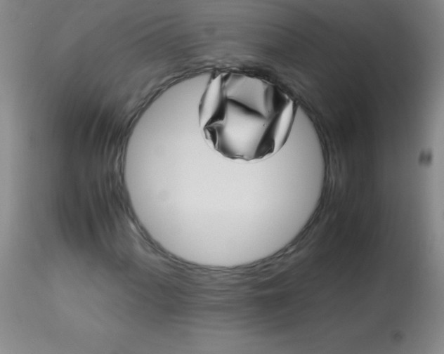 X0000113641060200910021911