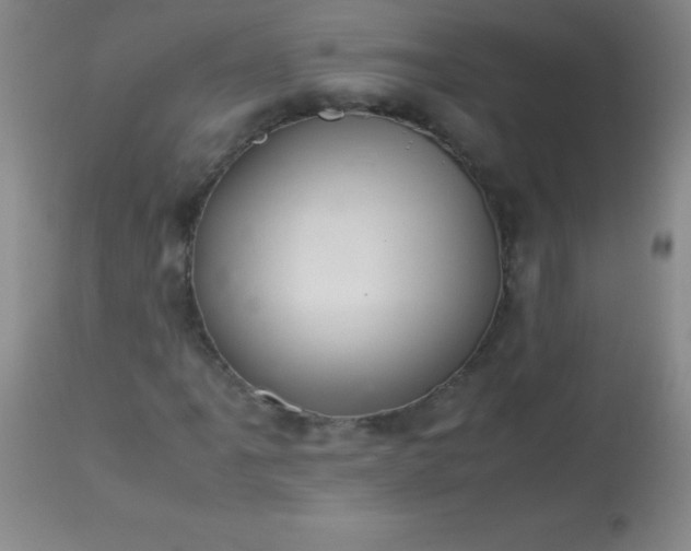 X0000113641061200910021911