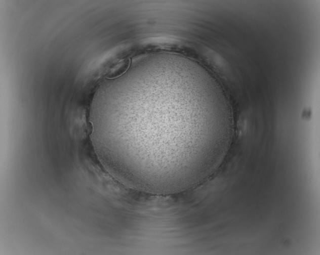 X0000113641062200910021911