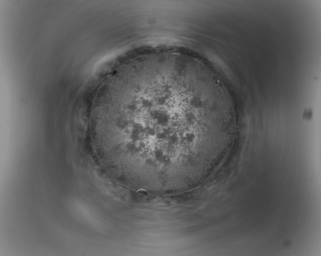 X0000113641063200910021911