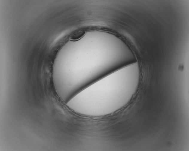 X0000113641064200910021911