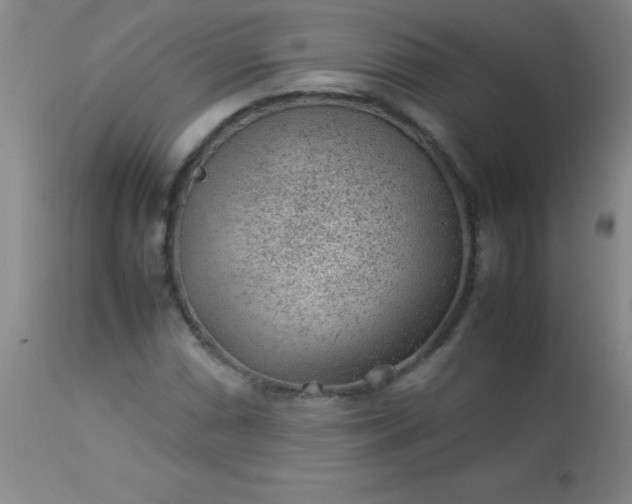 X0000113641066200910021911