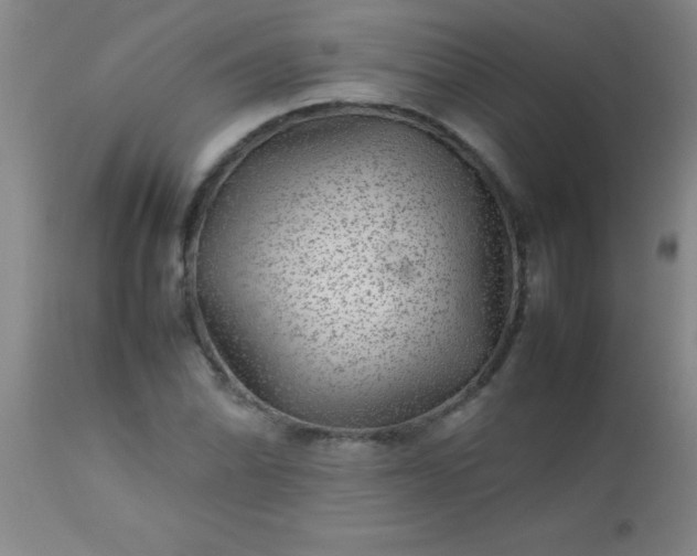 X0000113641070200910021911