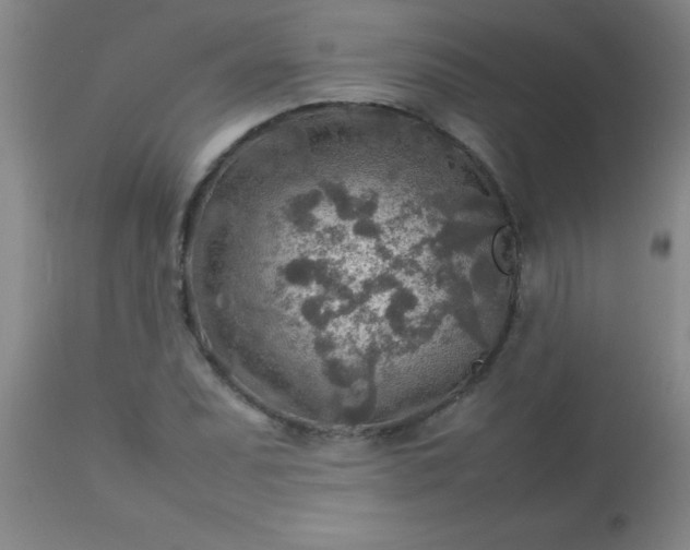 X0000113641071200910021911